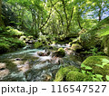 奥大山　川 116547527