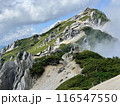 燕岳 116547550