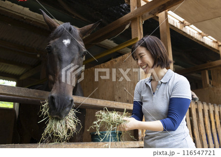 馬のお世話をする女性 116547721