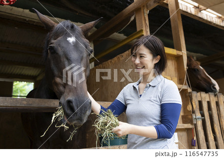 馬のお世話をする女性 116547735