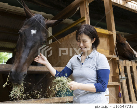 馬のお世話をする女性 馬のお世話をする女性 116547738