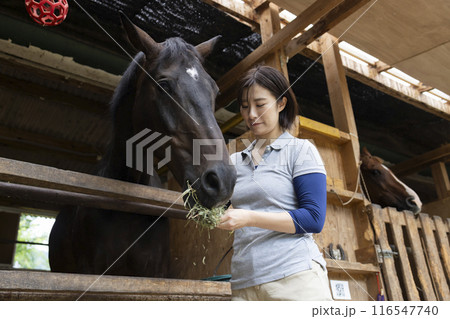 馬のお世話をする女性 116547740