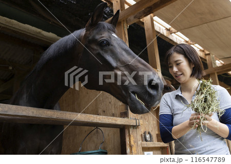 馬のお世話をする女性 馬のお世話をする女性 116547789