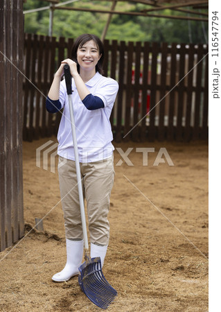 馬のお世話をする女性 116547794