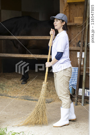 馬のお世話をする女性 116547805