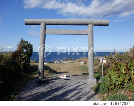 洲崎神社にある浜の鳥居 116547884