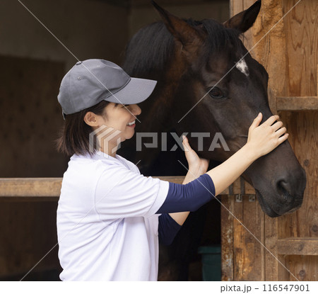 馬のお世話をする女性 馬のお世話をする女性 116547901