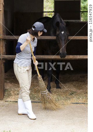 馬のお世話をする女性 馬のお世話をする女性 116547919