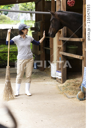 馬のお世話をする女性 馬のお世話をする女性 116547935