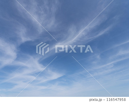 青空とすじ雲の風景 青空とすじ雲の風景 116547958