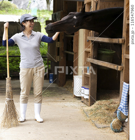 馬のお世話をする女性 116547960