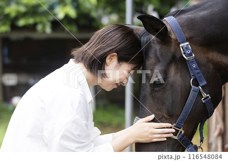馬とふれ合う女性 116548084