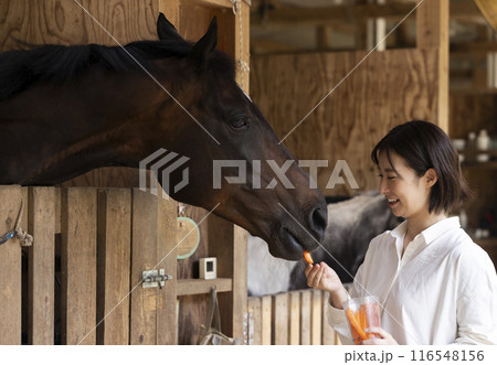 馬に人参をあげる女性 馬に人参をあげる女性 116548156