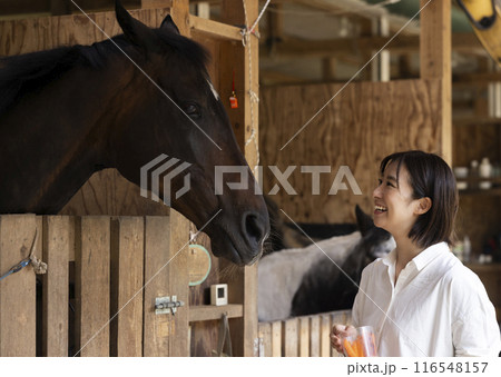馬に人参をあげる女性 馬に人参をあげる女性 116548157