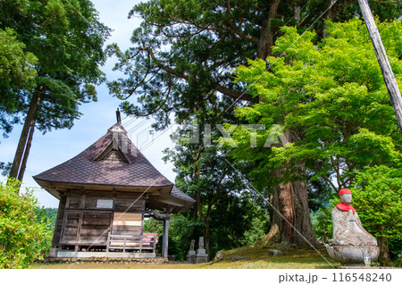 神社とお地蔵さま 116548240