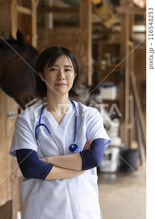 馬を診察する獣医さん 116548253