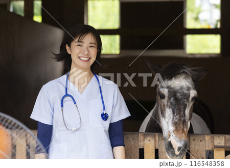 馬を診察する獣医さん 馬を診察する獣医さん 116548358