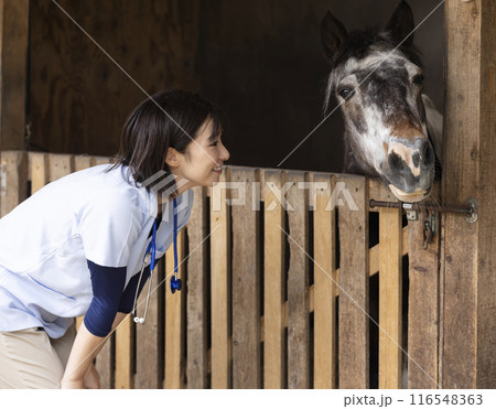馬を診察する獣医さん 116548363
