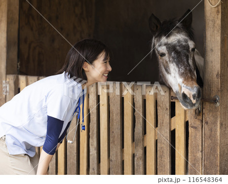 馬を診察する獣医さん 116548364