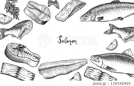 Fish sketch poster or banner. Salmon fillet, ink hand drawn vector illustration. Steaks slices 116548405