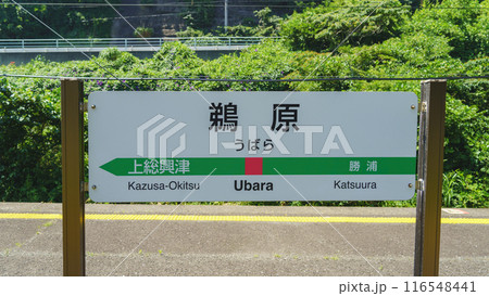 【千葉県勝浦市】JR外房線・鵜原駅 116548441