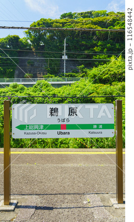 【千葉県勝浦市】JR外房線・鵜原駅 116548442