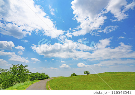 夏の青空と草原と道路 夏の青空と草原と道路 116548542