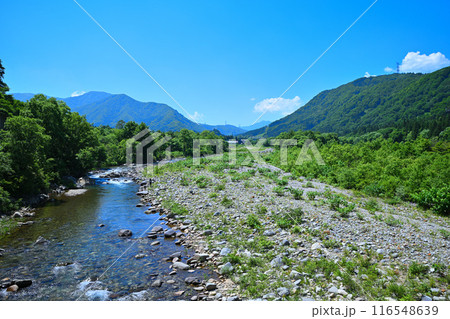 清津川　大島橋からの眺め　山・川の風景　新潟県湯沢町　 116548639