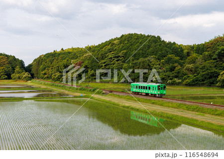 水田に姿を映して走る平成筑豊鉄道400型 水田に姿を映して走る平成筑豊鉄道400型 116548694