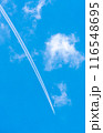 夏空の飛行機雲 116548695