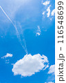 夏空の飛行機雲 116548699