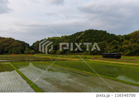田園地帯を走る平成筑豊鉄道400型「黒銀（KUROGIN）」 116548700