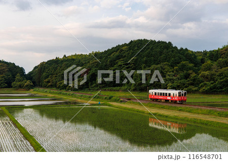 田園地帯を走る平成筑豊鉄道400型 116548701