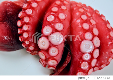 ボイル済のタコ、たこ、蛸、海鮮食材。外国産、ゆでダコ。 116548758