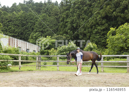 馬のお世話をする女性 116548955