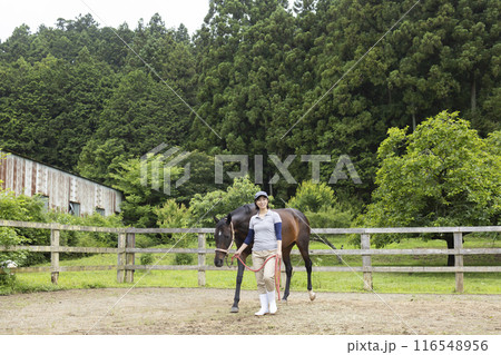 馬のお世話をする女性 馬のお世話をする女性 116548956