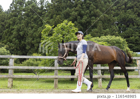 馬のお世話をする女性 馬のお世話をする女性 116548985