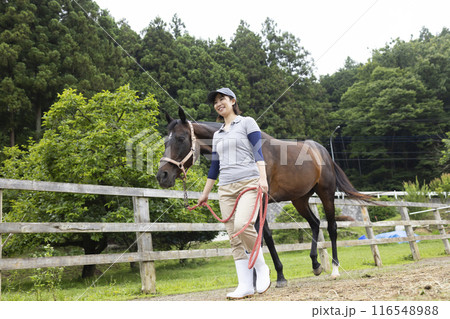 馬のお世話をする女性 馬のお世話をする女性 116548988