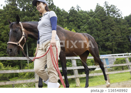 馬のお世話をする女性 116548992