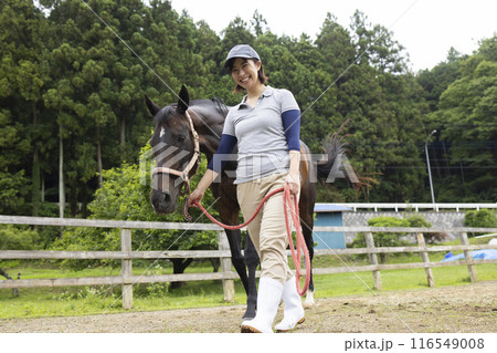 馬のお世話をする女性 馬のお世話をする女性 116549008