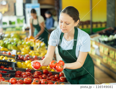 Female seller lays out ripe tomatoes on the counter of grocery supermarket 116549081