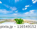 瀬長島の海 116549152