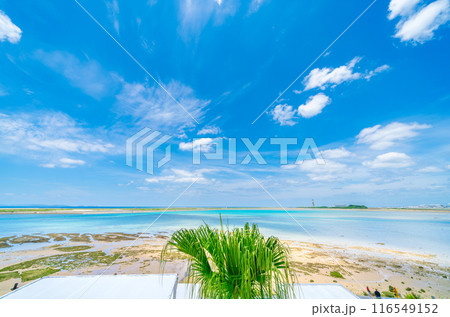 瀬長島の海 116549152