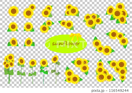 ひまわりの花の素材セットつめあわせ ひまわりの花の素材セットつめあわせ 116549244