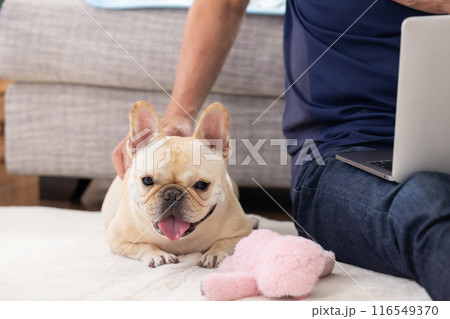 パソコンを見ている飼い主さんのそばでくつろぐフレンチブルドッグ 116549370