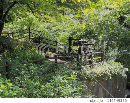 磊々峡の散策路(仙台) 磊々峡の散策路(仙台) 116549386