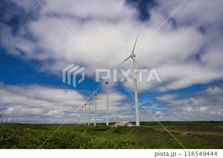 北海道　オロロンライン沿いの風力発電所 116549444