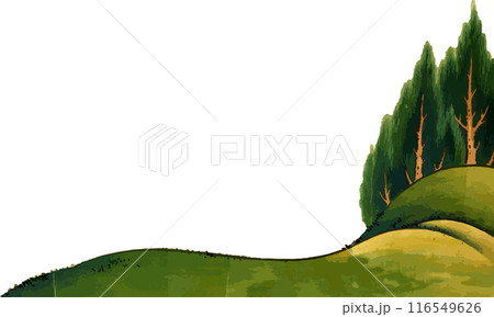 丘と針葉樹の森 116549626