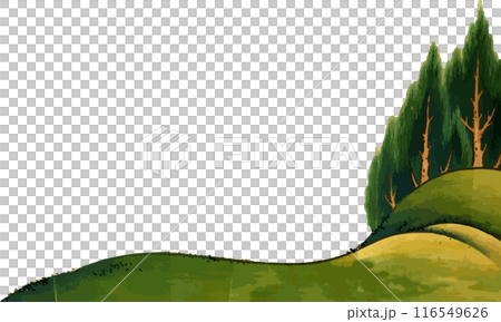 丘と針葉樹の森 116549626