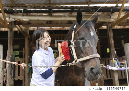 馬のお世話をする女性 馬のお世話をする女性 116549715